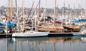 Read more about the article Shaka vs SHTP – The Single Hander Irony