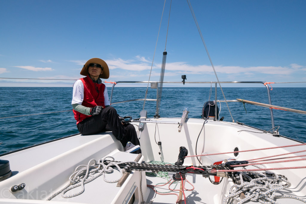 Read more about the article When Dolphins Are Just An Excuse